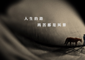 《一百年很长吗》定档1201 团队新作再聚江湖