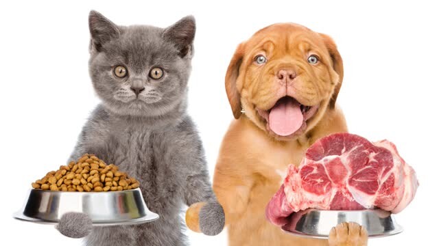 月投500达人，国产猫粮头部品牌麦富迪能否靠营销换资本前程？